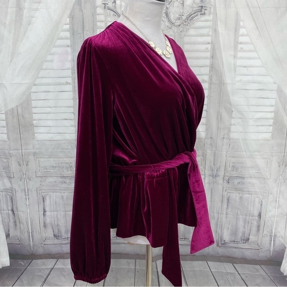 NEW Ralph Lauren Size M Medium Garnet Pink Solid Velvet Belted Peplum Blouse Top - Picture 6 of 12